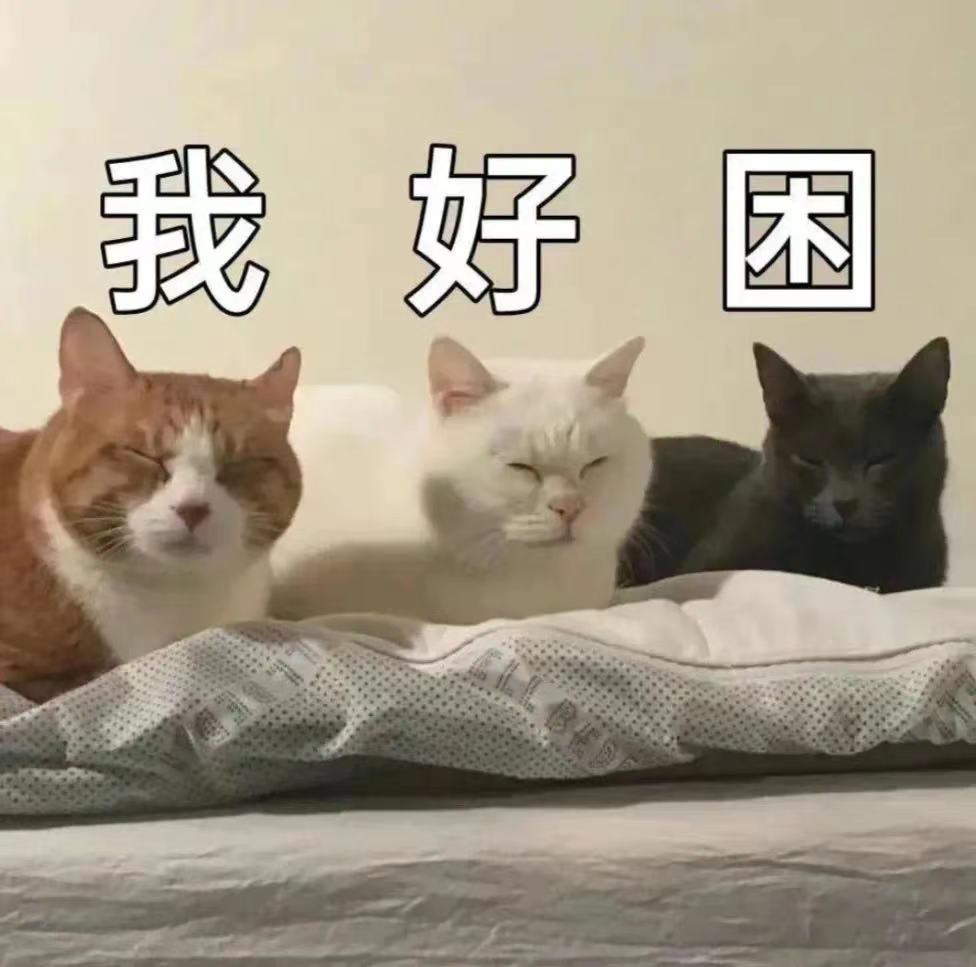微信图片_20230306094443.jpg