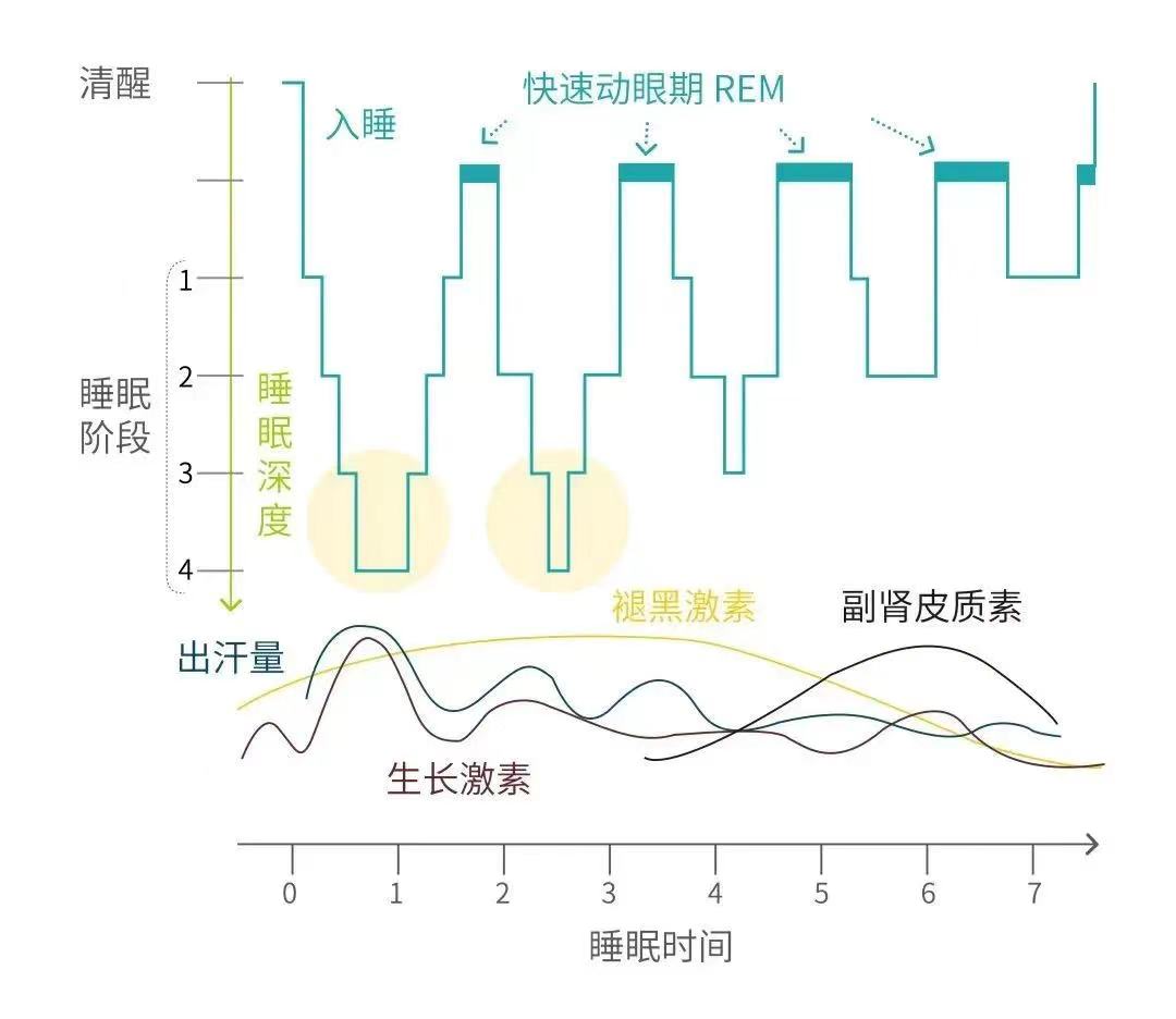 微信图片_20230306094455.jpg