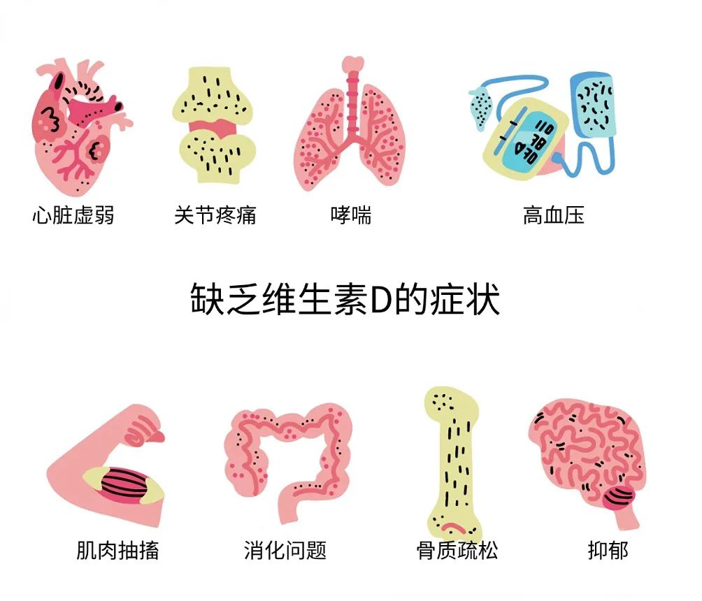 640.webp (2).png