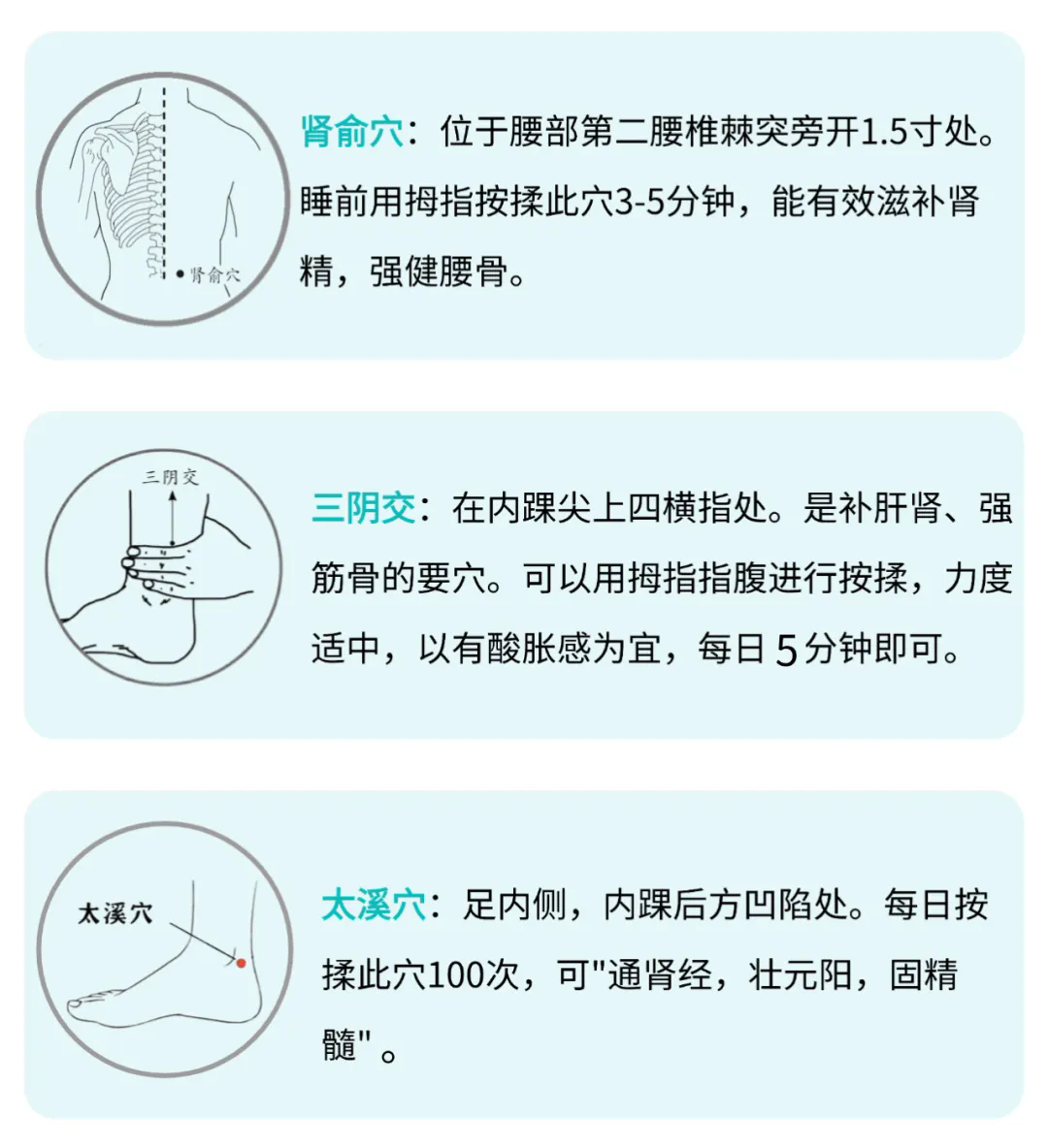 640.webp (6).png