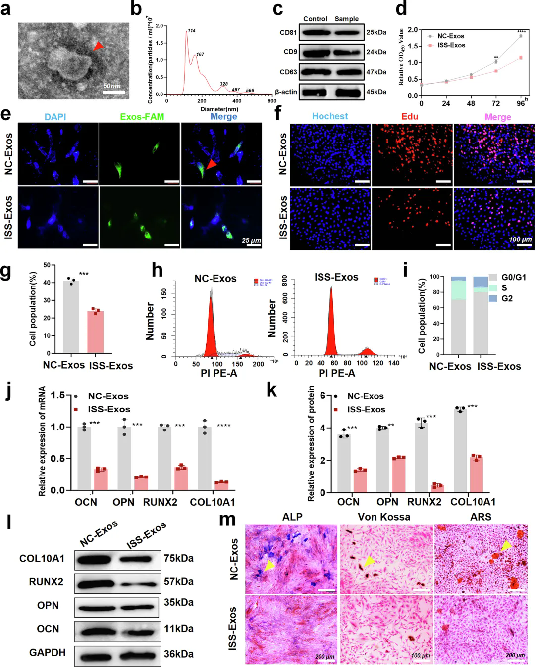 1773998258698003.png 640.webp (1).png