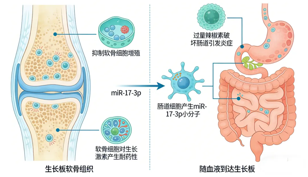 1773998277259752.png 640.webp (2).png