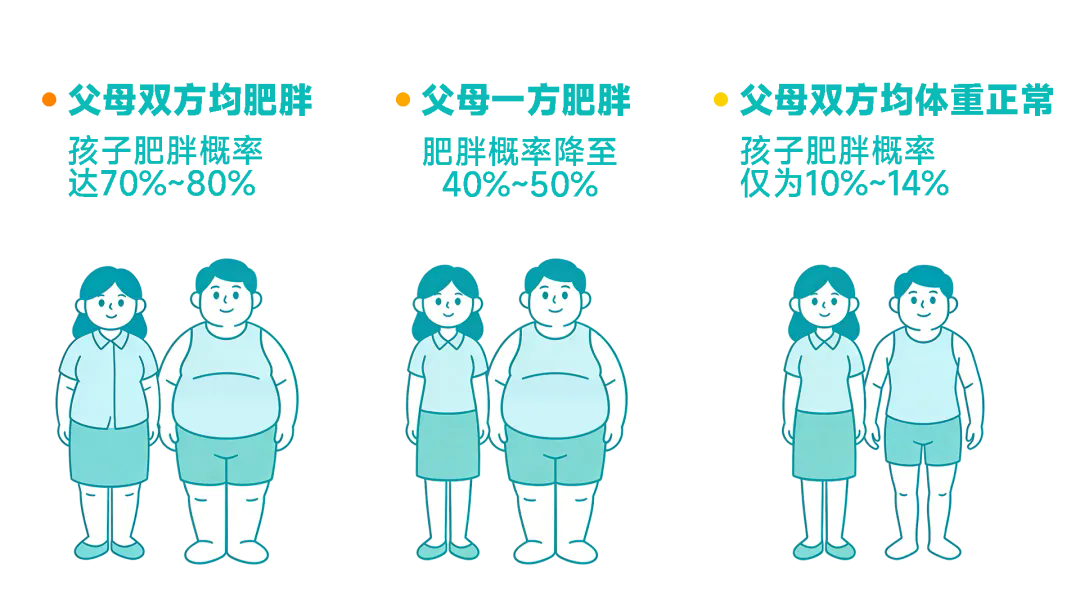 640.webp (1).png