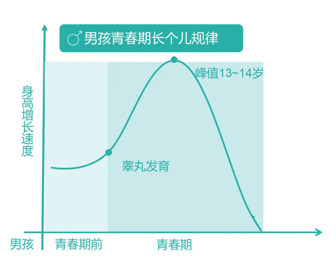 1783673578675733.png 641.webp.png