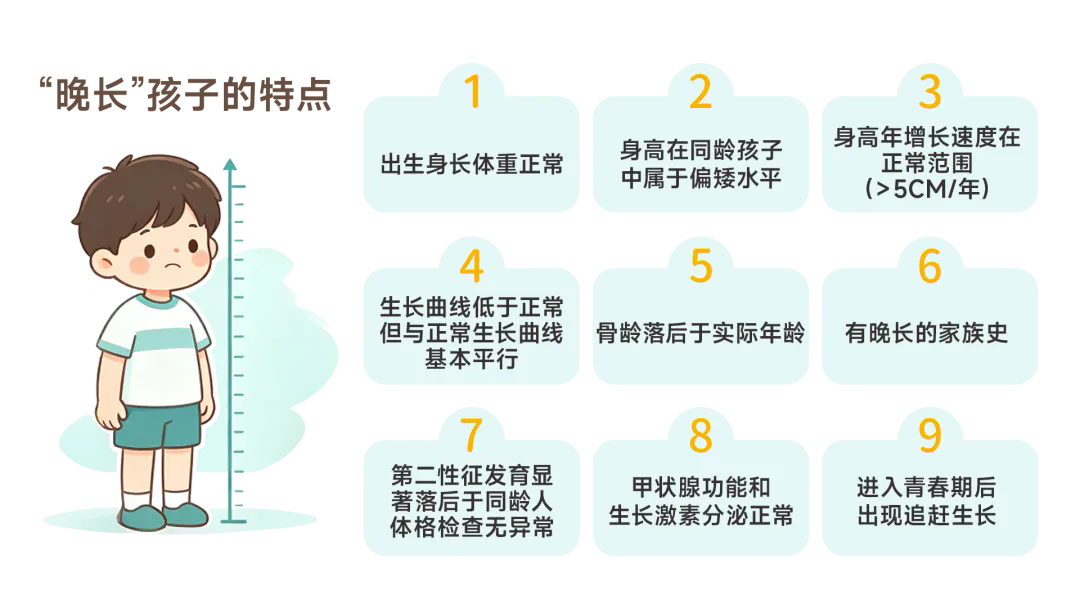 641.webp.png