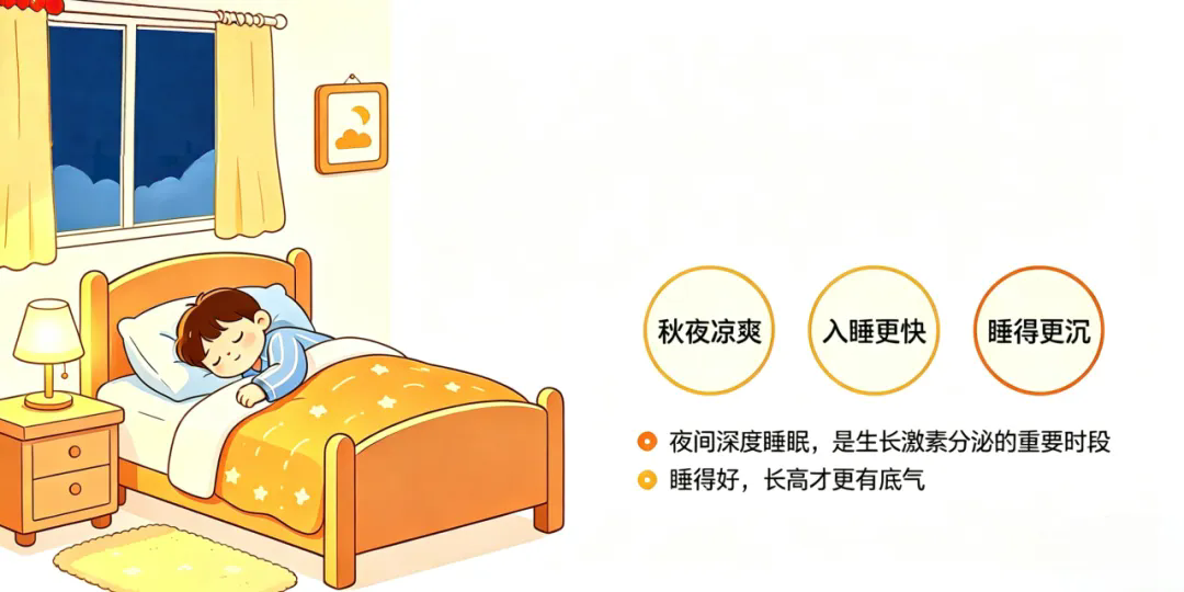 1788772380618328.png 641.webp.png